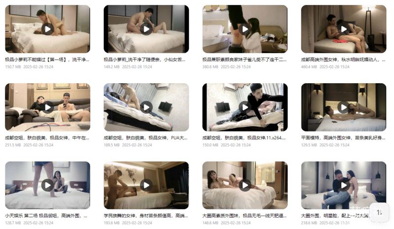 极品探花系列【高端外围】最强合集预览图10