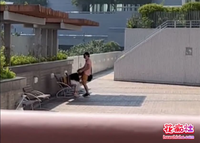 大瓜回顾系列预览图04