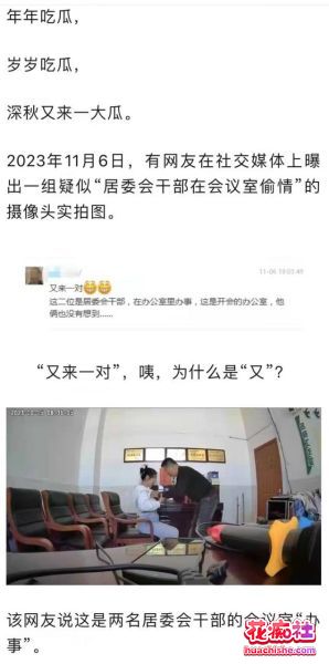 大瓜回顾系列预览图11