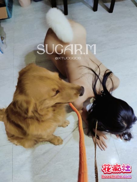 00后嫩妹小母狗SUGAR.M 被捆绑/调教合集预览图14