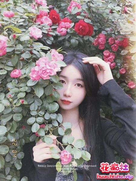 极品气质美女刘雯与男友性爱泄密预览图06