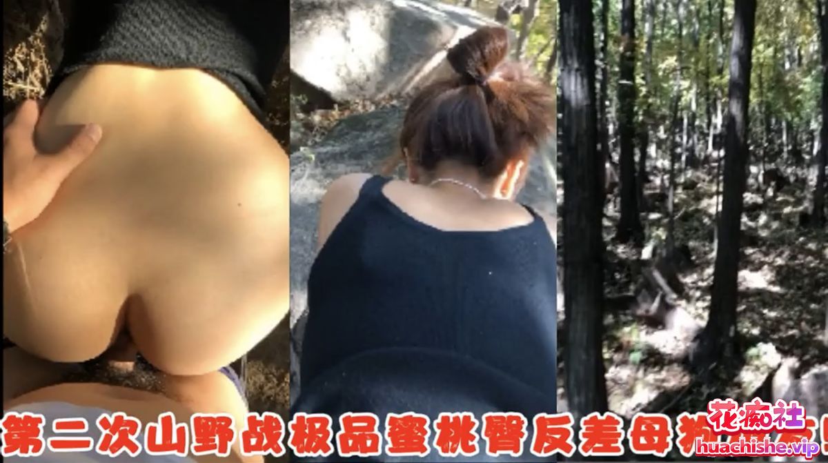 Z先生