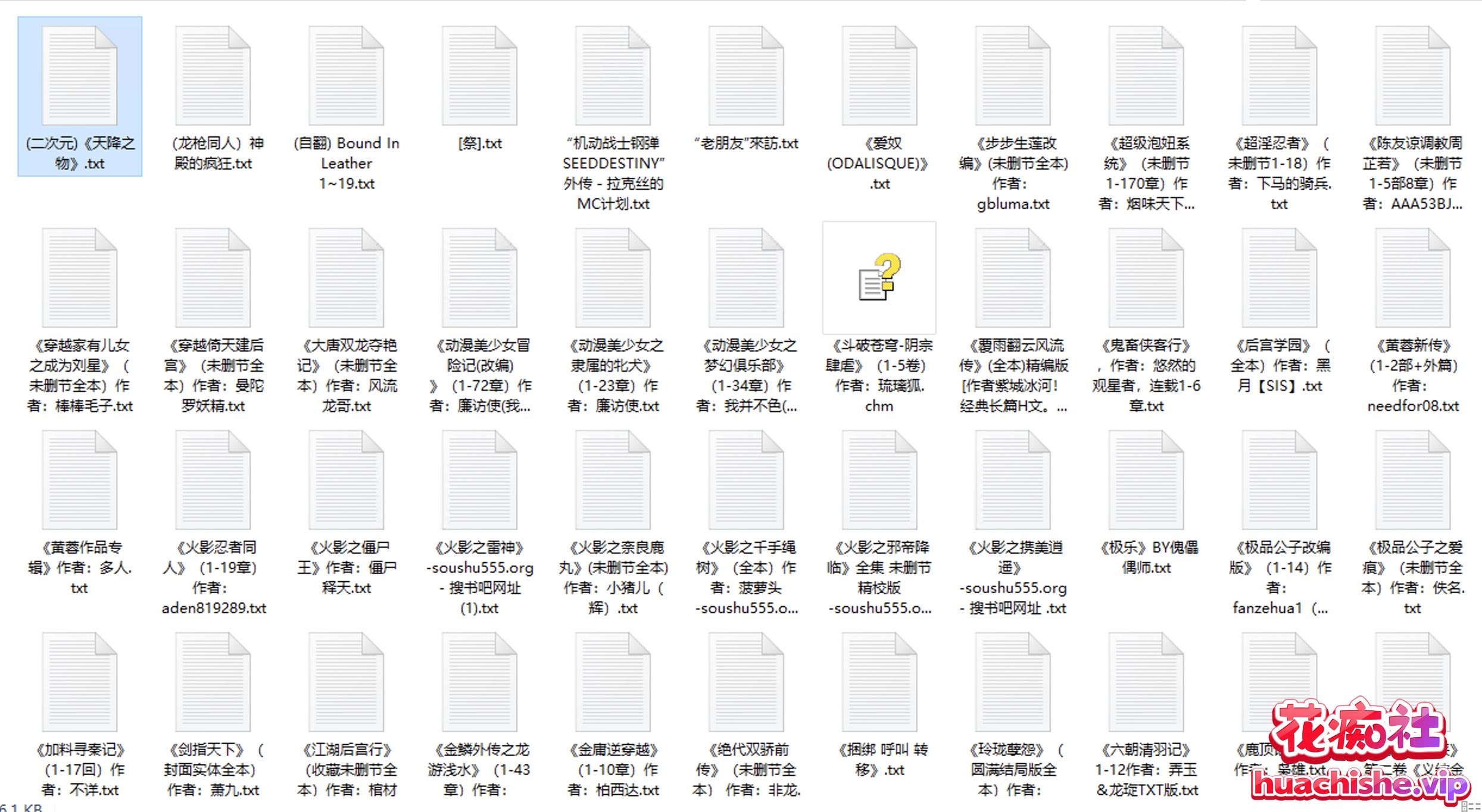 黄色小说 全TXT格式 4000部预览图03