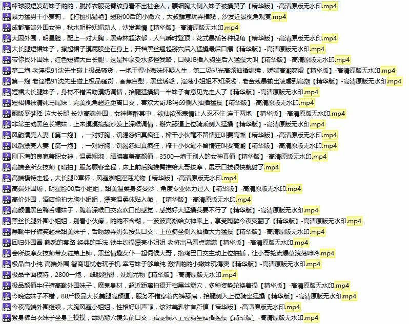 国产多位91AV大神高清自拍预览图03