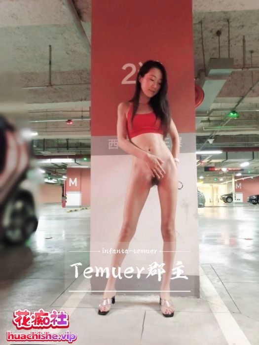 推特超淫荡反差女神 Temuer郡主 付费门槛预览图03